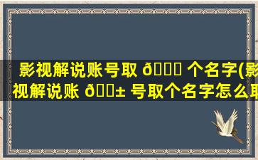 影视解说账号取 🐎 个名字(影视解说账 🐱 号取个名字怎么取)